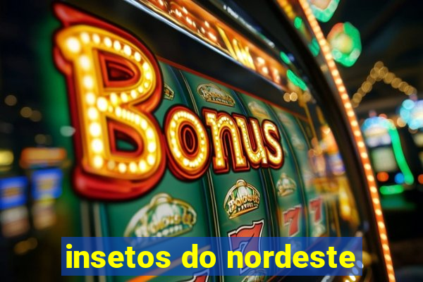 insetos do nordeste